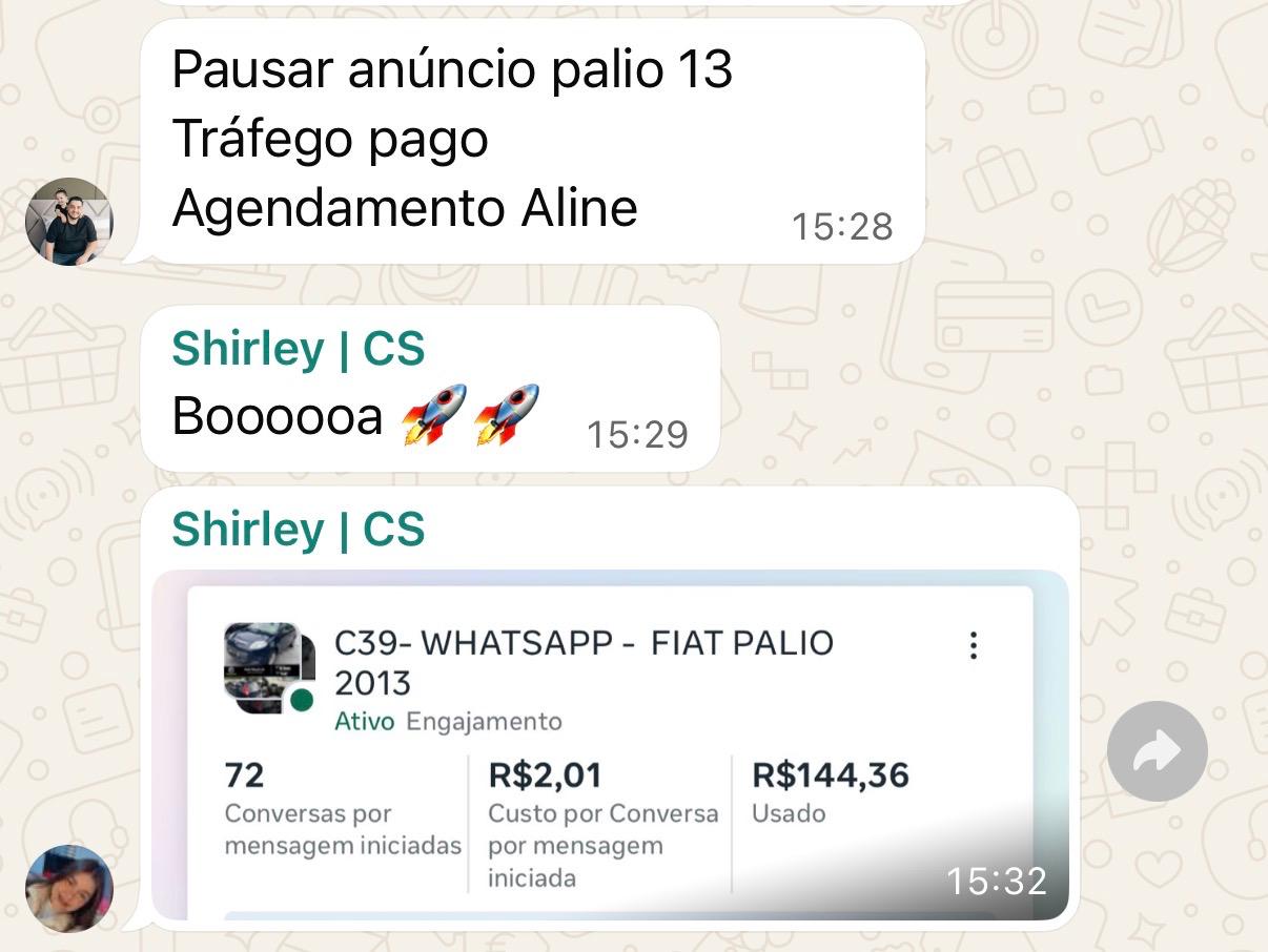 Fiat Palio 2013: 72 conversas com R$144,36 investidos